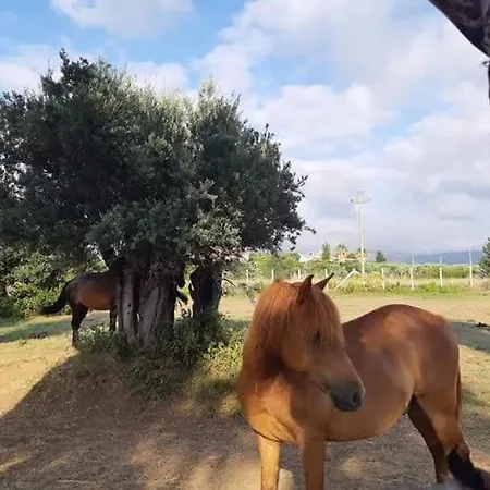 Brazzano בית הארחה סקליאה