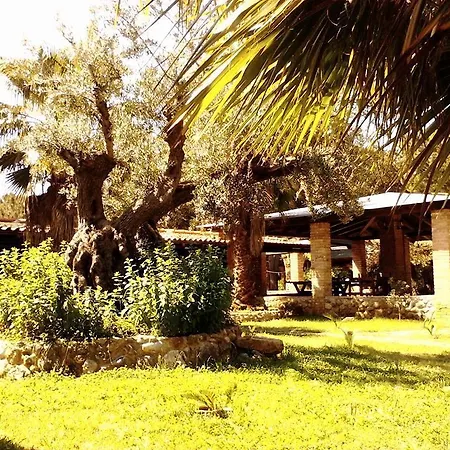 Brazzano 3* סקליאה